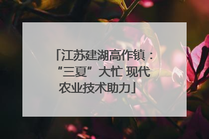 江苏建湖高作镇：“三夏”大忙 现代农业技术助力