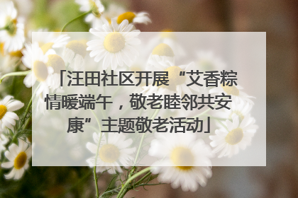 汪田社区开展“艾香粽情暖端午，敬老睦邻共安康”主题敬老活动