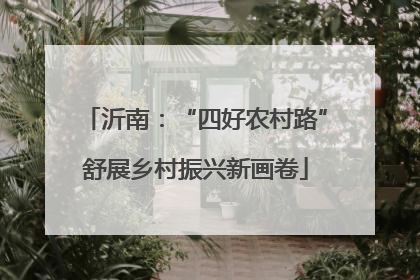 沂南：“四好农村路”舒展乡村振兴新画卷