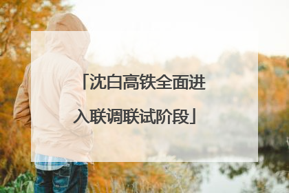 沈白高铁全面进入联调联试阶段