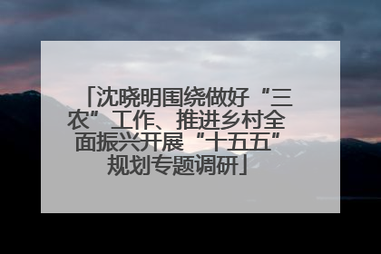 沈晓明围绕做好“三农”工作、推进乡村全面振兴开展“十五五”规划专题调研