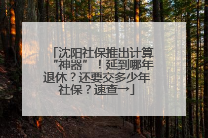 沈阳社保推出计算“神器”！延到哪年退休？还要交多少年社保？速查→