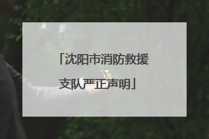 沈阳市消防救援支队严正声明