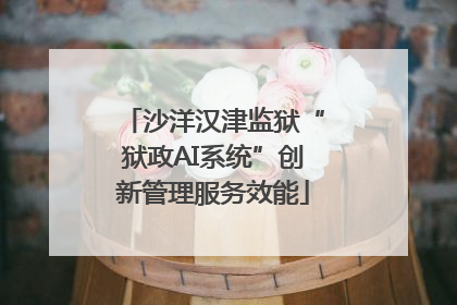 沙洋汉津监狱“狱政AI系统”创新管理服务效能