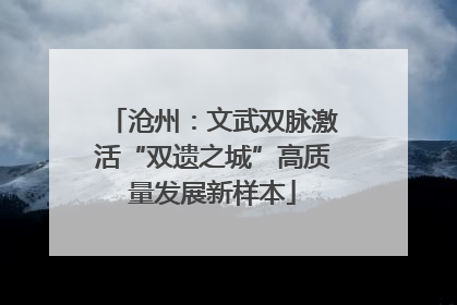 沧州：文武双脉激活“双遗之城”高质量发展新样本