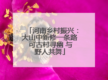 河南乡村振兴：大山中新修一条路 可古村寻幽 与野人共舞