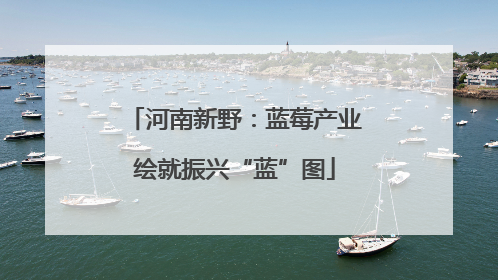 河南新野：蓝莓产业绘就振兴“蓝”图