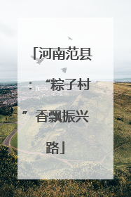河南范县：“粽子村”香飘振兴路