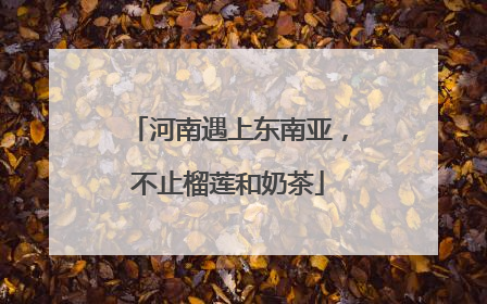 河南遇上东南亚，不止榴莲和奶茶