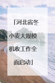 河北省冬小麦大规模机收工作全面启动