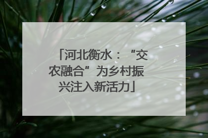 河北衡水：“交农融合”为乡村振兴注入新活力