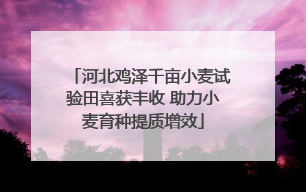 河北鸡泽千亩小麦试验田喜获丰收 助力小麦育种提质增效