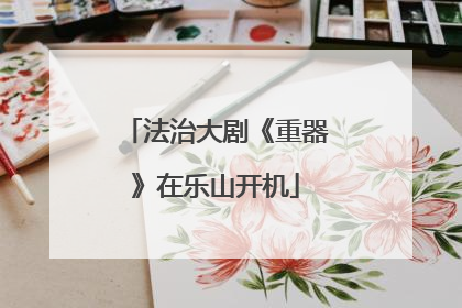法治大剧《重器》在乐山开机