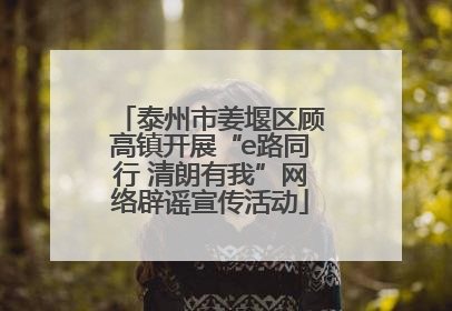 泰州市姜堰区顾高镇开展“e路同行 清朗有我”网络辟谣宣传活动