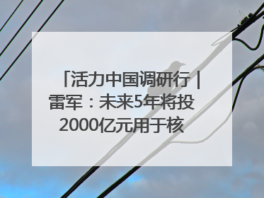 活力中国调研行｜雷军：未来5年将投2000亿元用于核心技术研发