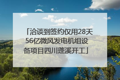 洽谈到签约仅用28天 56亿微风发电机组设备项目四川蓬溪开工