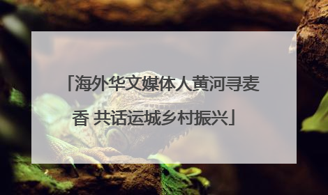 海外华文媒体人黄河寻麦香 共话运城乡村振兴