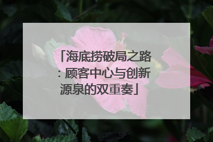 海底捞破局之路：顾客中心与创新源泉的双重奏