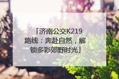 济南公交K219路线：奔赴自然，解锁多彩郊野时光