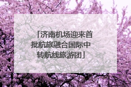 济南机场迎来首批航旅融合国际中转航线旅游团