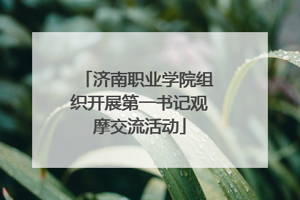 济南职业学院组织开展第一书记观摩交流活动