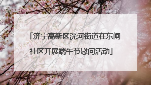 济宁高新区洸河街道在东闸社区开展端午节慰问活动