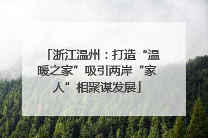 浙江温州：打造“温暖之家”吸引两岸“家人”相聚谋发展