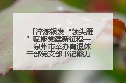 淬炼银发“领头雁”赋能党建新征程——泉州市举办离退休干部党支部书记能力建设专题培训