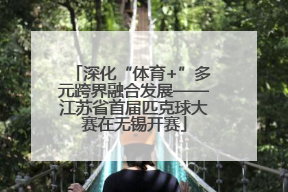 深化“体育+”多元跨界融合发展——江苏省首届匹克球大赛在无锡开赛