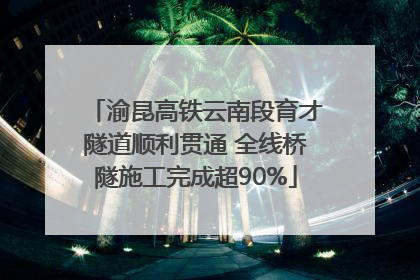 渝昆高铁云南段育才隧道顺利贯通 全线桥隧施工完成超90%