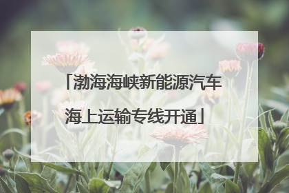 渤海海峡新能源汽车海上运输专线开通