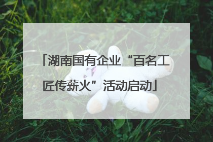 湖南国有企业“百名工匠传薪火”活动启动
