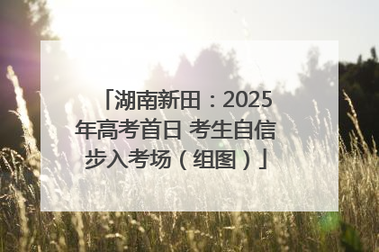 湖南新田：2025年高考首日 考生自信步入考场（组图）
