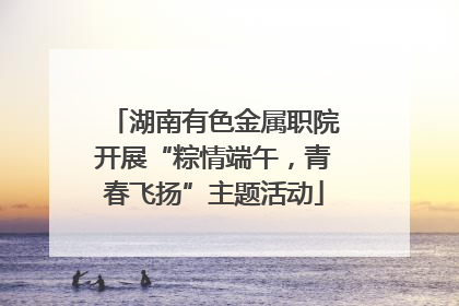 湖南有色金属职院开展“粽情端午，青春飞扬”主题活动