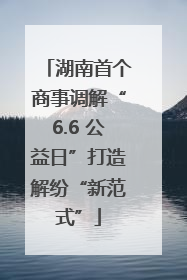 湖南首个商事调解“6.6 公益日”打造解纷“新范式”