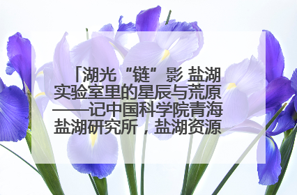 湖光“链”影 盐湖实验室里的星辰与荒原——记中国科学院青海盐湖研究所，盐湖资源化学实验室党总支书记、副主任刘忠