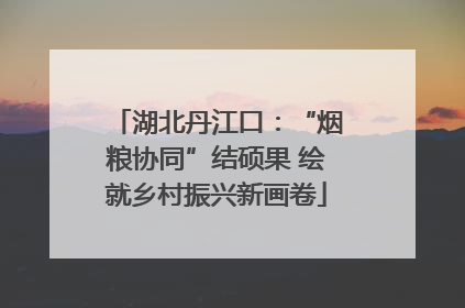 湖北丹江口：“烟粮协同”结硕果 绘就乡村振兴新画卷