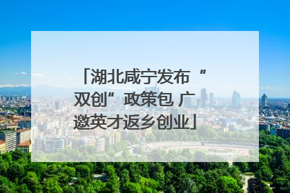 湖北咸宁发布“双创”政策包 广邀英才返乡创业