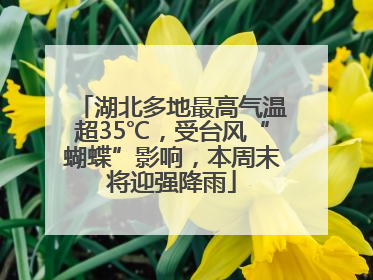 湖北多地最高气温超35℃，受台风“蝴蝶”影响，本周末将迎强降雨