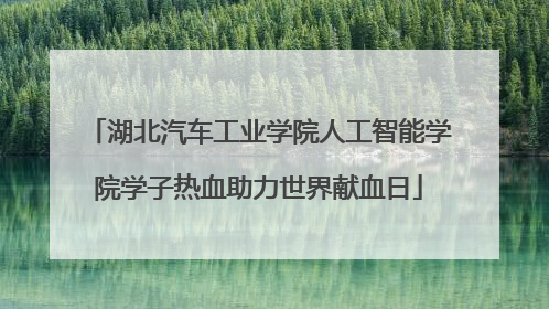 湖北汽车工业学院人工智能学院学子热血助力世界献血日