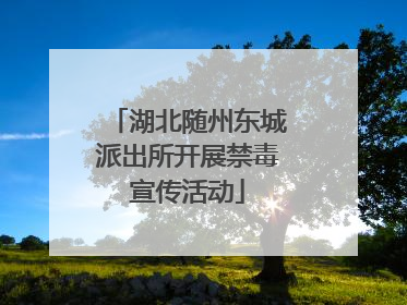 湖北随州东城派出所开展禁毒宣传活动