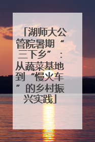 湖师大公管院暑期“三下乡”：从蔬菜基地到“慢火车”的乡村振兴实践