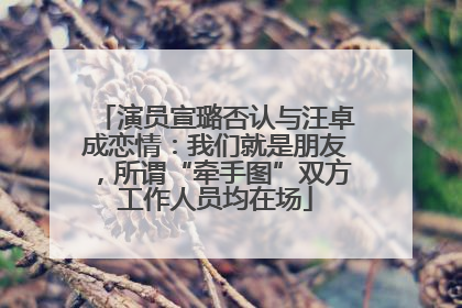 演员宣璐否认与汪卓成恋情：我们就是朋友，所谓“牵手图”双方工作人员均在场