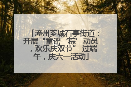 漳州芗城石亭街道：开展“童谣‘粽’动员，欢乐庆双节” 过端午，庆六一活动