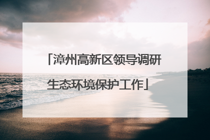 漳州高新区领导调研生态环境保护工作
