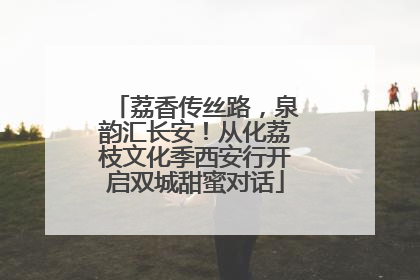 荔香传丝路，泉韵汇长安！从化荔枝文化季西安行开启双城甜蜜对话