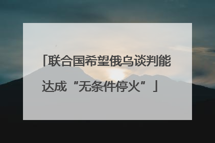 联合国希望俄乌谈判能达成“无条件停火”
