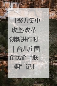 聚力集中攻坚·改革创新进行时｜台儿庄国企民企“联姻”记