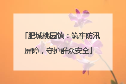 肥城桃园镇：筑牢防汛屏障，守护群众安全