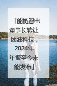 能链智电董事长转让团油科技，2024年年报至今未能发布
